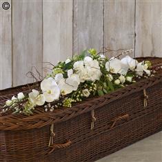 White and Green Eco-friendly Casket Tribute