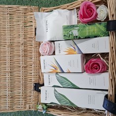 Tropics Moisture Hamper
