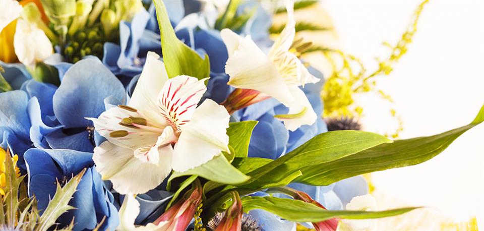 Joanne's Florist Ltd