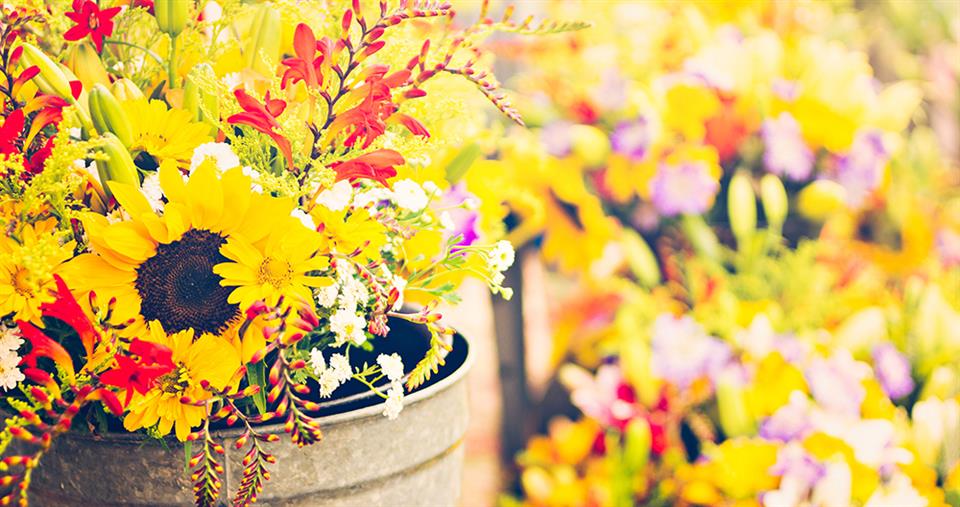 Joanne's Florist Ltd