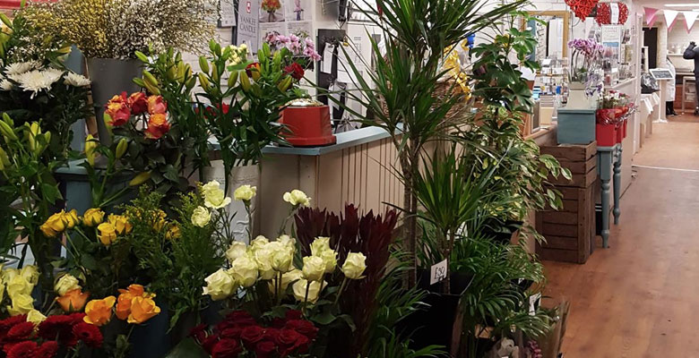 Joanne's Florist Ltd